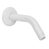 Brazo y chapetón para regadera Foset Basic Mod. BCH-400