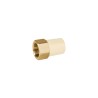 Adaptadores CPVC Hembra Foset con Inserto de Latón